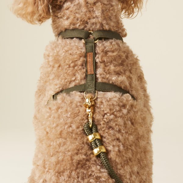 Olive Dog Harness - Image 7
