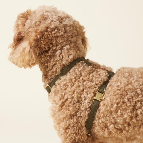 Olive Dog Harness - Image 11