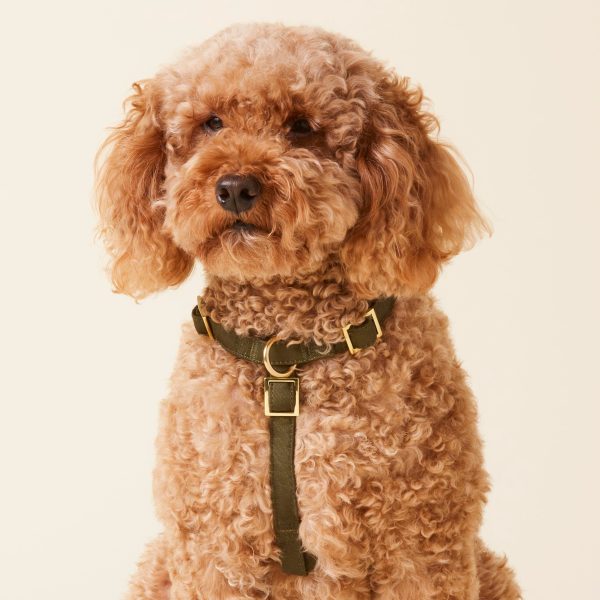 Olive Dog Harness - Image 4