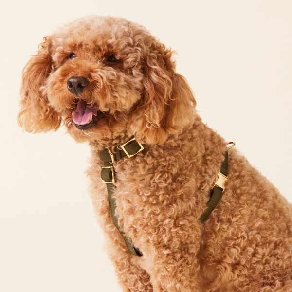 Olive Dog Harness - Image 5