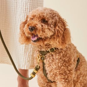 Olive Dog Harness - Image 8