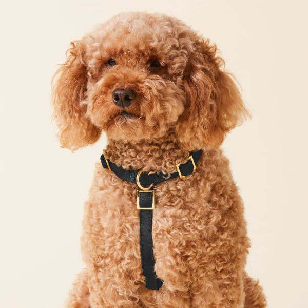 Onyx Dog Harness - Image 4
