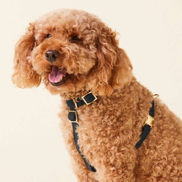 Onyx Dog Harness - Image 5
