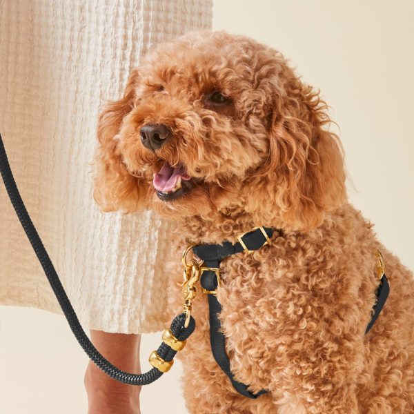 Onyx Dog Harness - Image 8