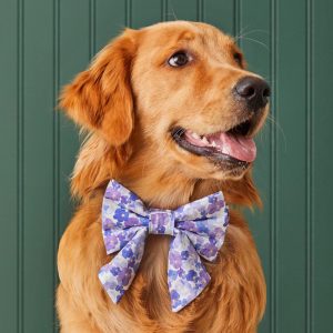 Pressed Pansies Lady Bow Collar - Image 4