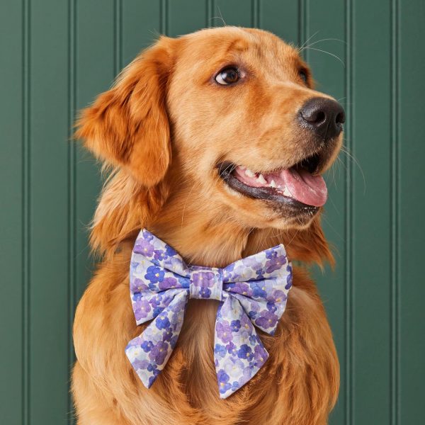 Pressed Pansies Lady Bow Collar - Image 4