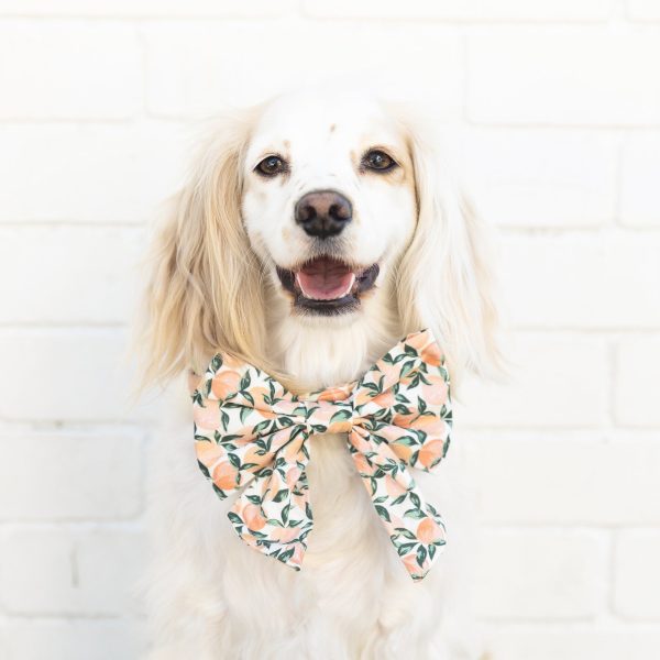 Peaches and Cream Lady Bow Collar - Image 5