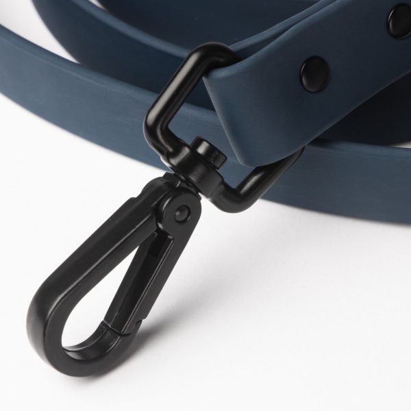 Leash - Image 3