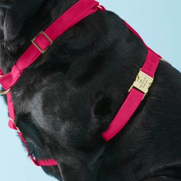 Hot Pink Dog Harness - Image 5