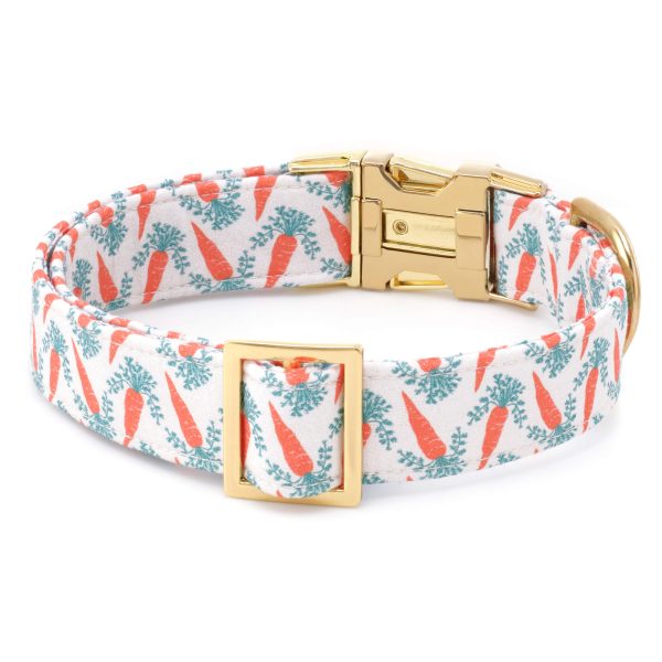 Carrot Patch Dog Collar - Image 2