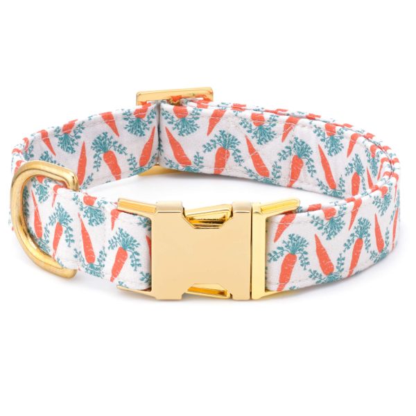Carrot Patch Dog Collar