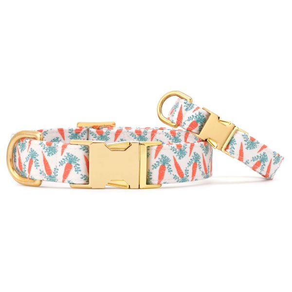 Carrot Patch Dog Collar - Image 3