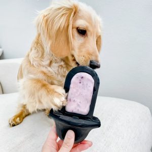 Groov Training Aid - Image 5