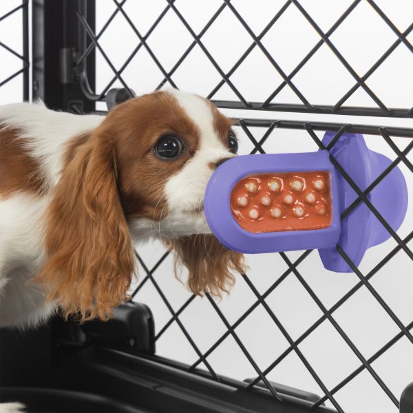 Groov Training Aid - Image 12