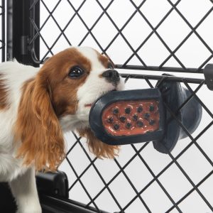 Groov Training Aid - Image 10