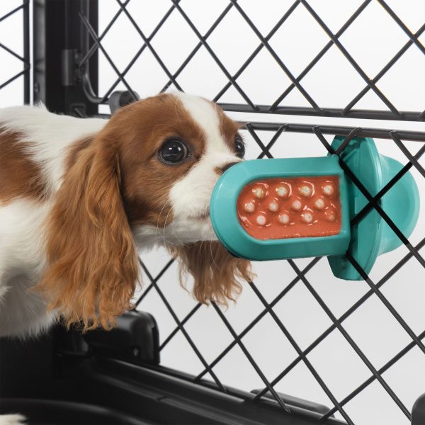 Groov Training Aid - Image 11
