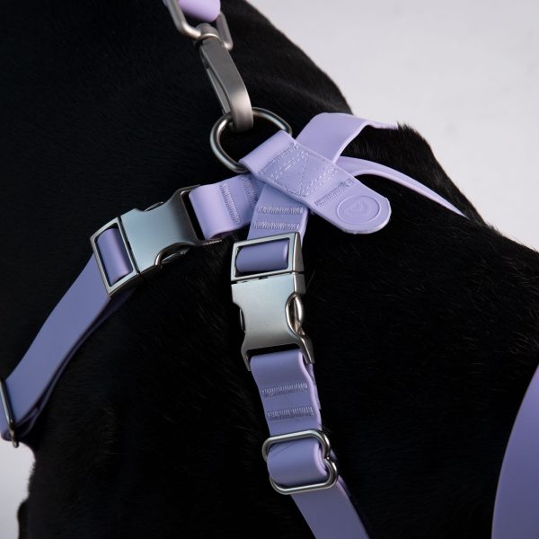 Classic Harness - Image 2