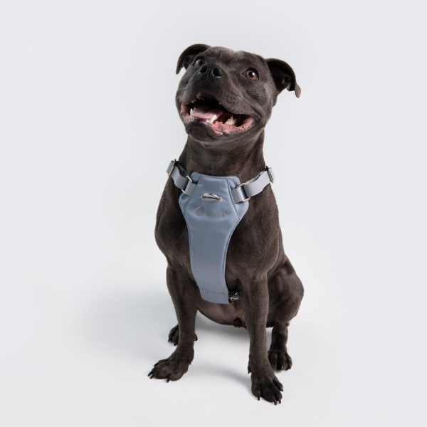 Classic Harness - Image 3