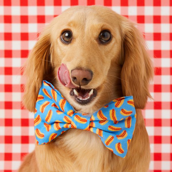 Hot Diggity Bow Tie Collar - Image 4