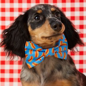 Hot Diggity Bow Tie Collar - Image 5