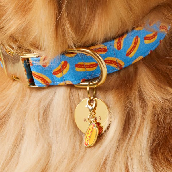 Hot Diggity Dog Collar - Image 6