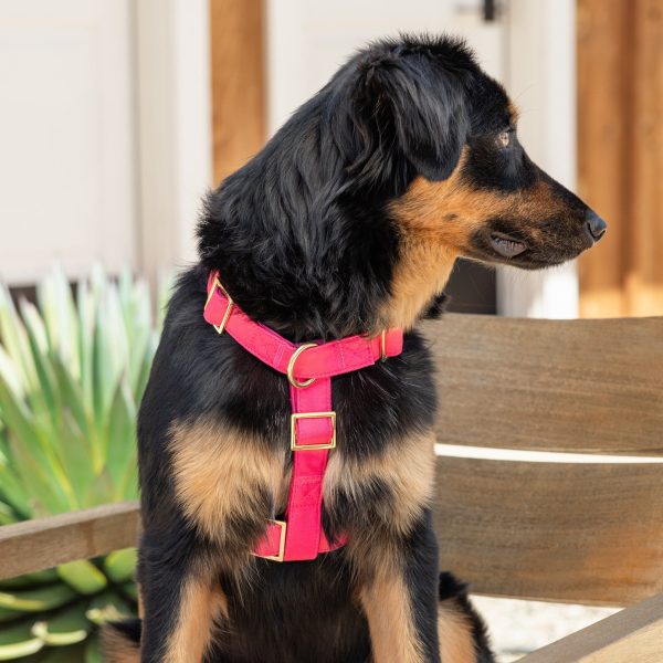 Hot Pink Dog Harness - Image 9