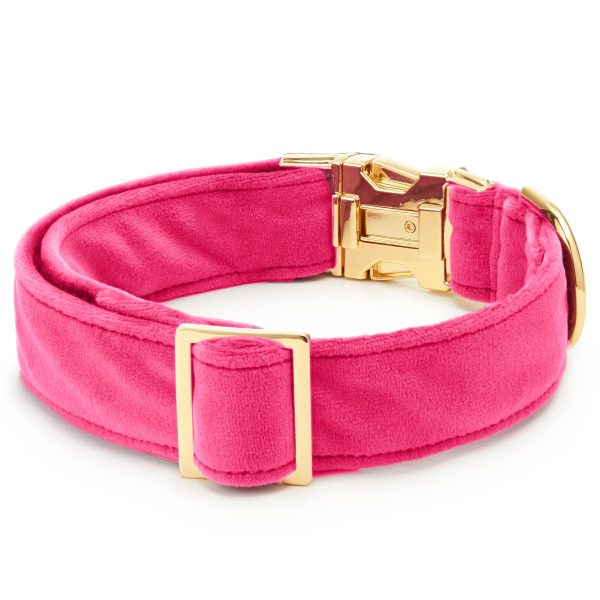 Hot Pink Velvet Dog Collar - Image 2