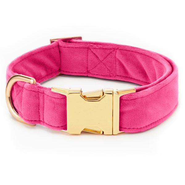 Hot Pink Velvet Lady Bow Collar - Image 3