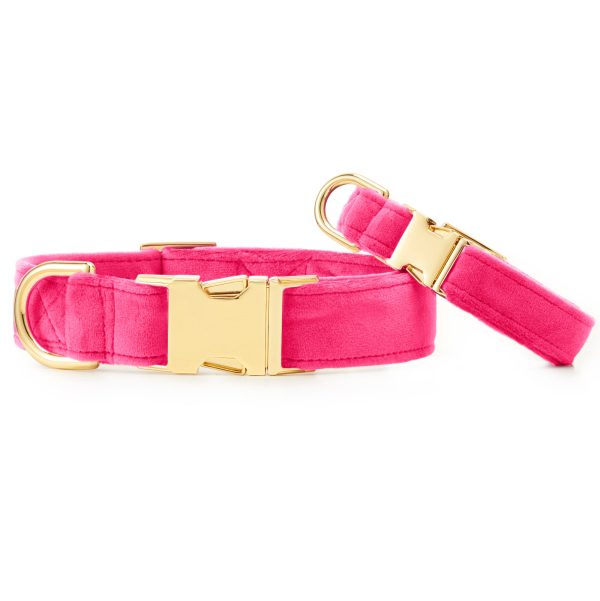 Hot Pink Velvet Dog Collar - Image 3