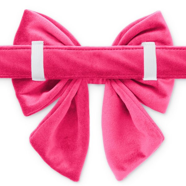 Hot Pink Velvet Lady Bow Collar - Image 2