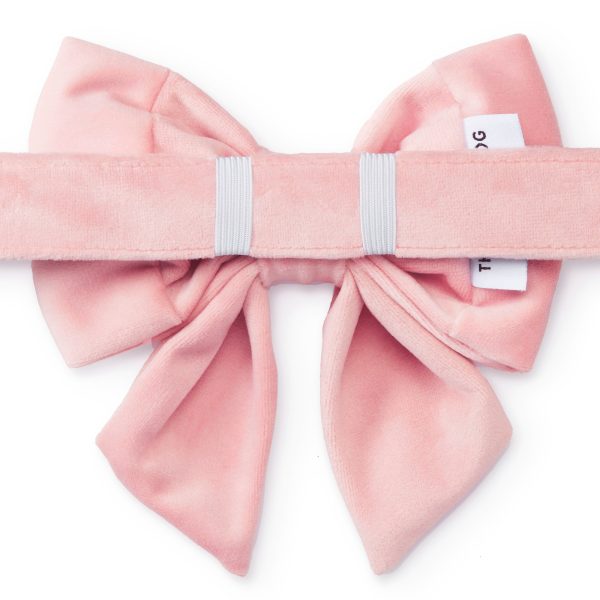 Blush Pink Velvet Lady Bow Collar - Image 2
