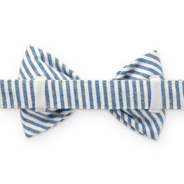 Lake Blue Stripe Bow Tie Collar - Image 2