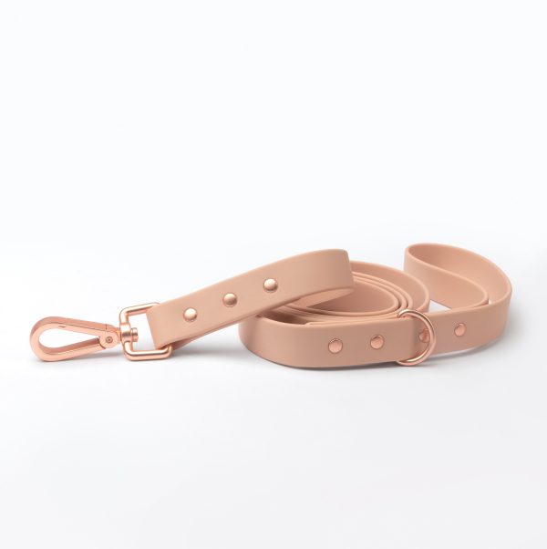 Leash - Image 4