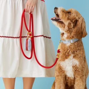 Liberty Dog Collar - Image 6