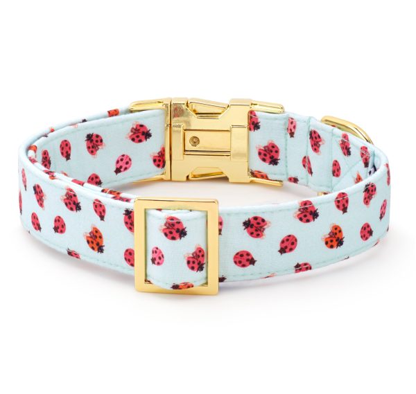 Love Bug Dog Collar - Image 3