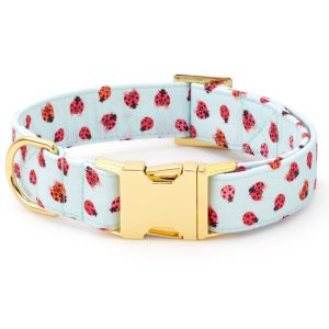 Love Bug Lady Bow Collar - Image 3