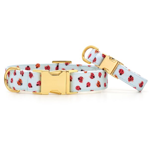 Love Bug Dog Collar - Image 4