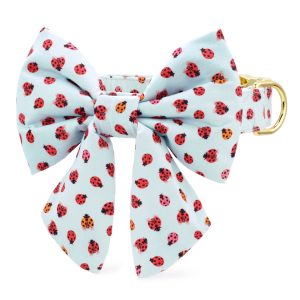 Love Bug Lady Bow Collar