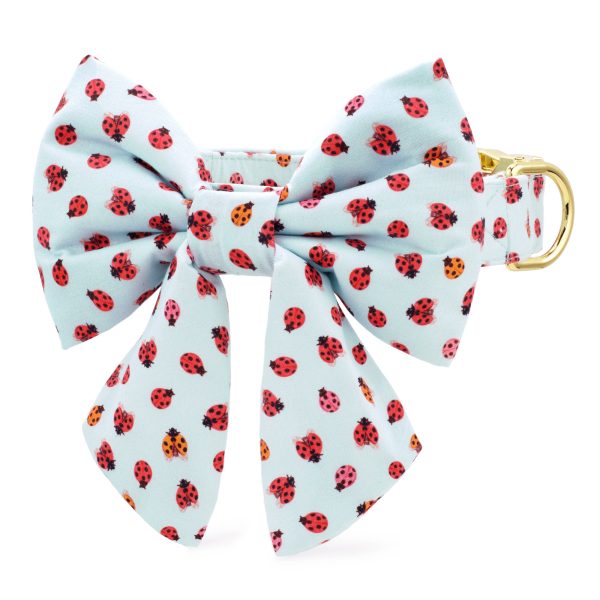 Love Bug Lady Bow Collar