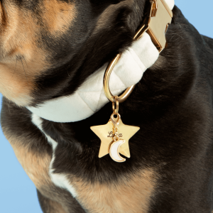 Ivory Velvet Dog Collar - Image 5