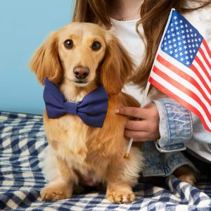 Ocean Bow Tie Collar - Image 5