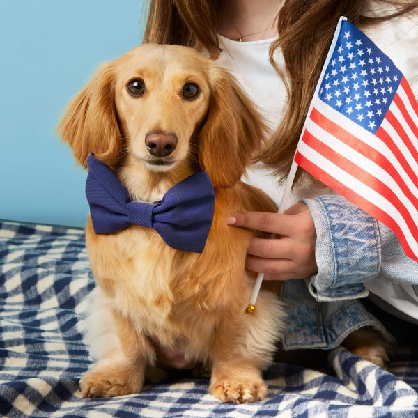 Ocean Bow Tie Collar - Image 5