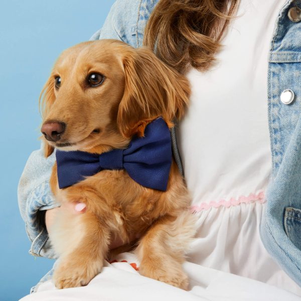Ocean Bow Tie Collar - Image 4