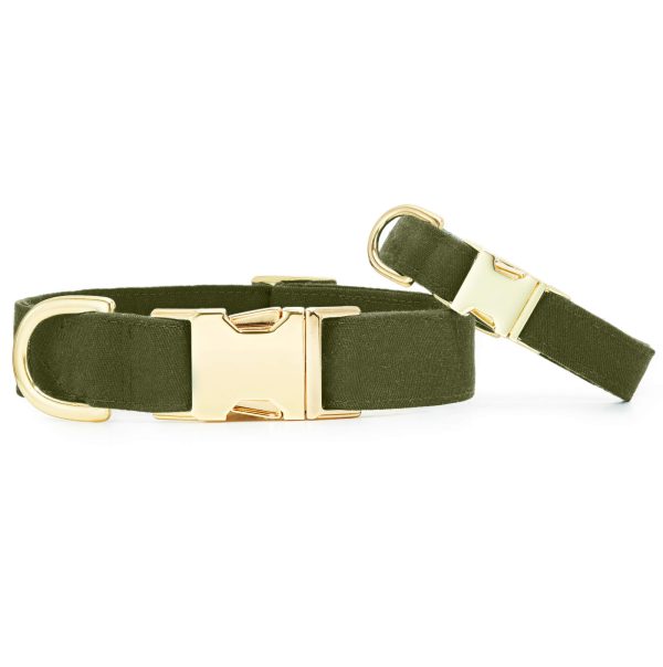Olive Dog Collar - Image 4