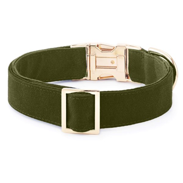 Olive Dog Collar - Image 3
