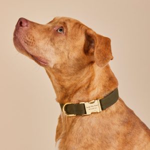 Olive Dog Collar - Image 5