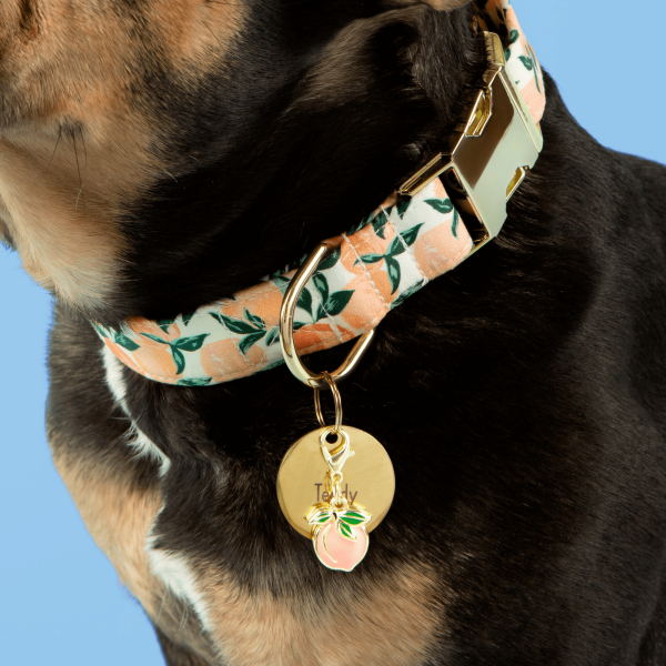Peaches and Cream Dog Collar - Image 5