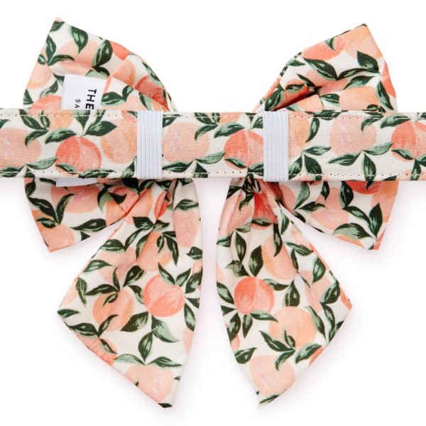 Peaches and Cream Lady Bow Collar - Image 2