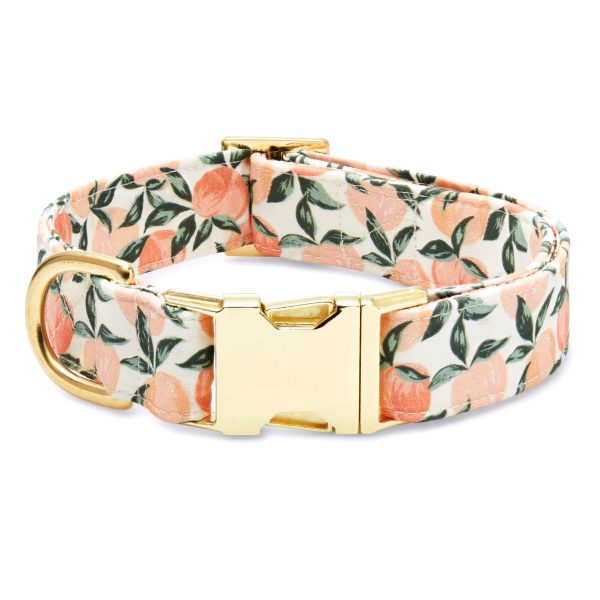 Peaches and Cream Lady Bow Collar - Image 3