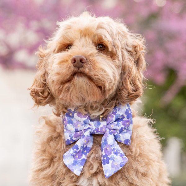 Pressed Pansies Lady Bow Collar - Image 5